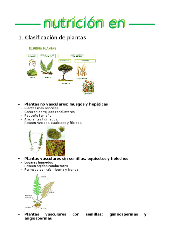 Miniatura del documento NUTRICION-DE-PLANTAS.docx