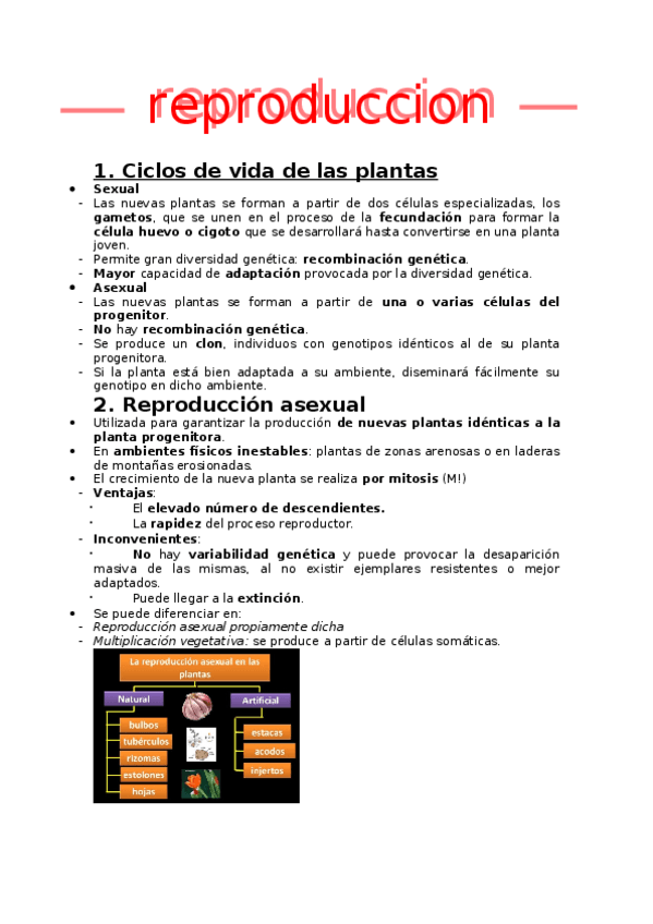 Miniatura del documento REPRODUCCION-EN-PLANTAS.docx