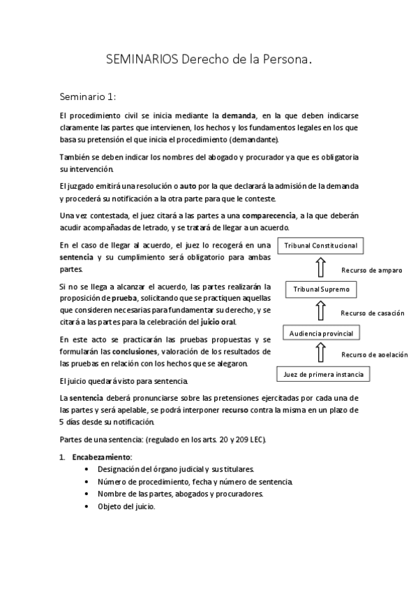 Miniatura del documento seminarios-derecho-persona-terminado.pdf