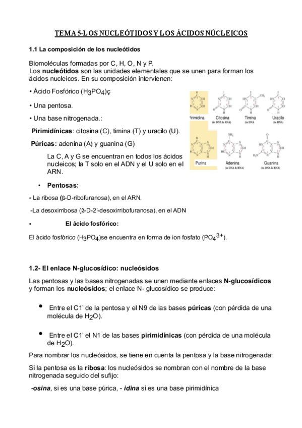 Miniatura del documento apuntes5.pdf