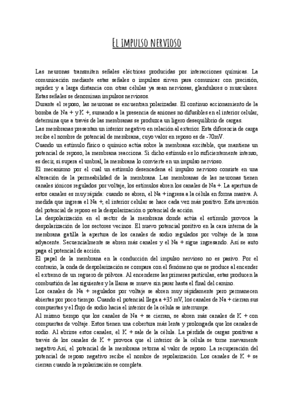 Miniatura del documento El-impulso-nervioso-Documentos-de-Google.pdf
