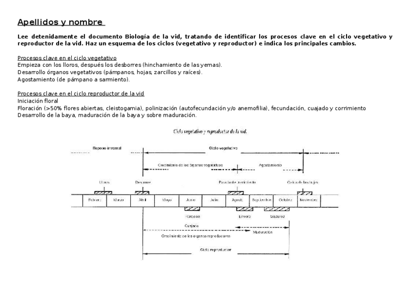 Miniatura del documento Entrega-3.docx