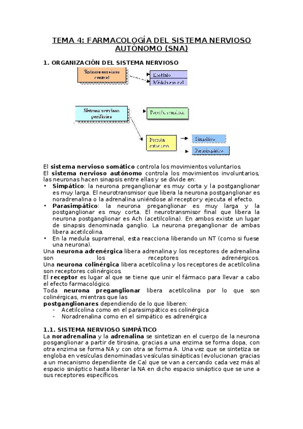 Miniatura del documento TEMA-4.docx
