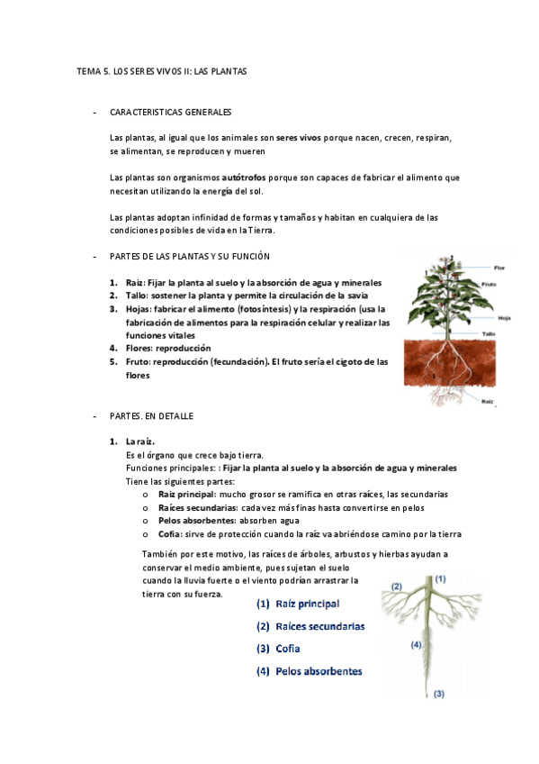 Miniatura del documento TEMA-5.pdf