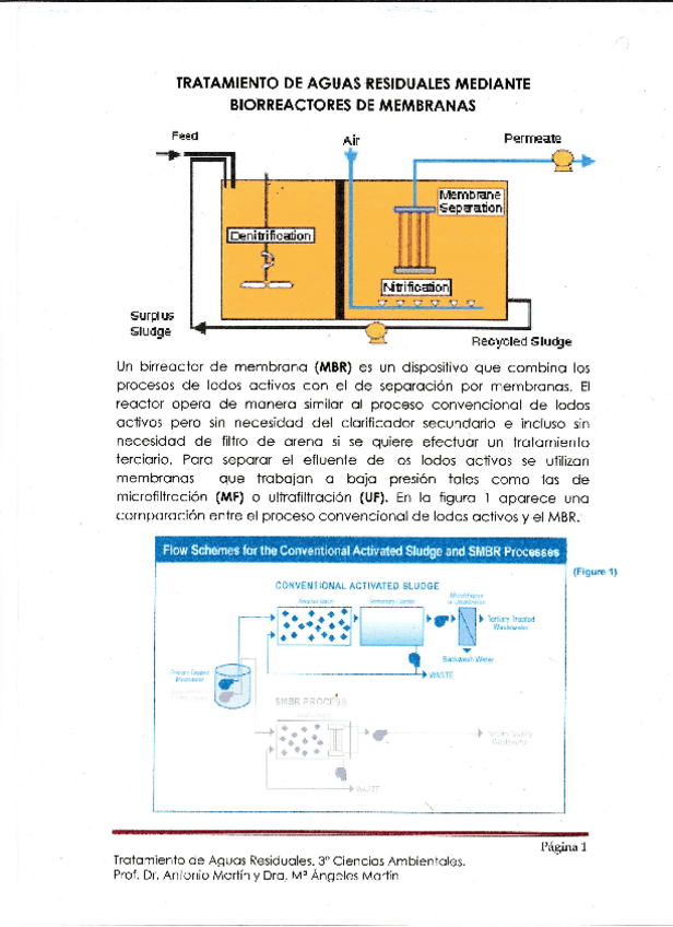 Miniatura del documento Bloque IIIb.pdf