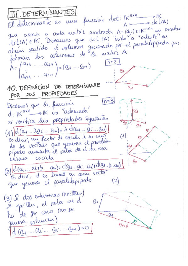 Miniatura del documento DeterminantesApuntes.pdf