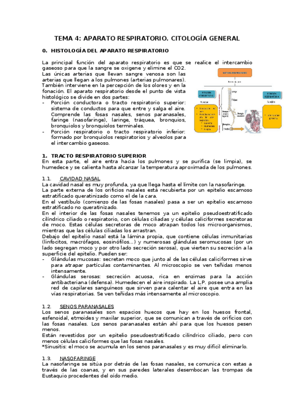 Miniatura del documento TEMA-4.docx