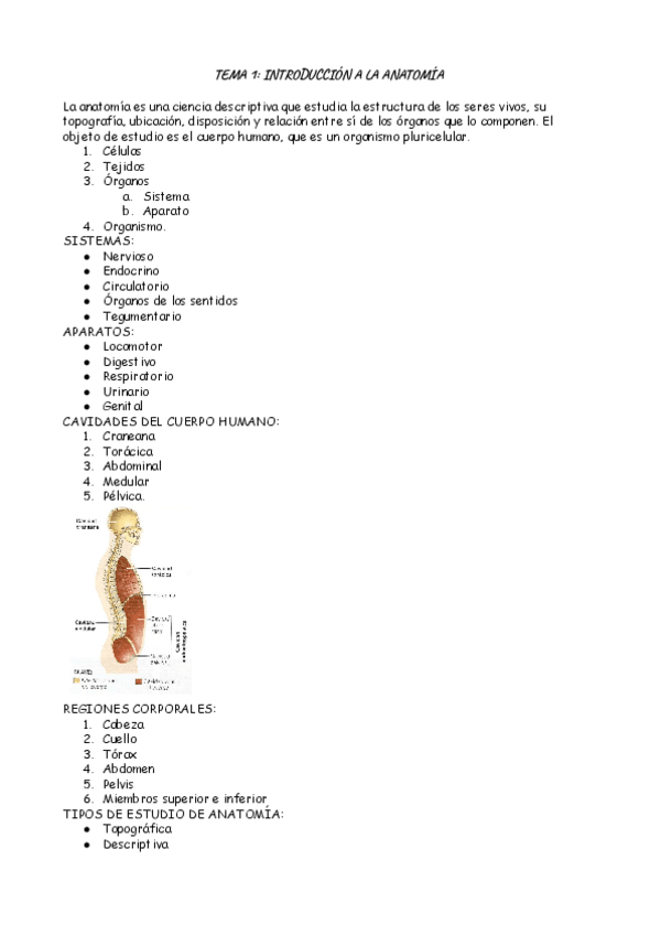Miniatura del documento Bloque-1-anatomia.pdf