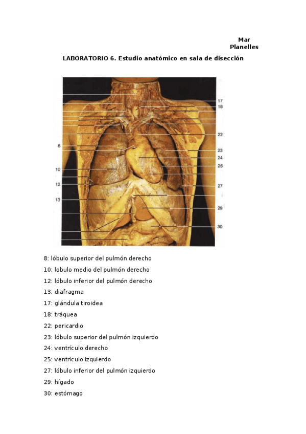Miniatura del documento lab-6-.docx