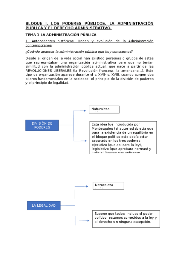 Miniatura del documento TEMA-1.docx
