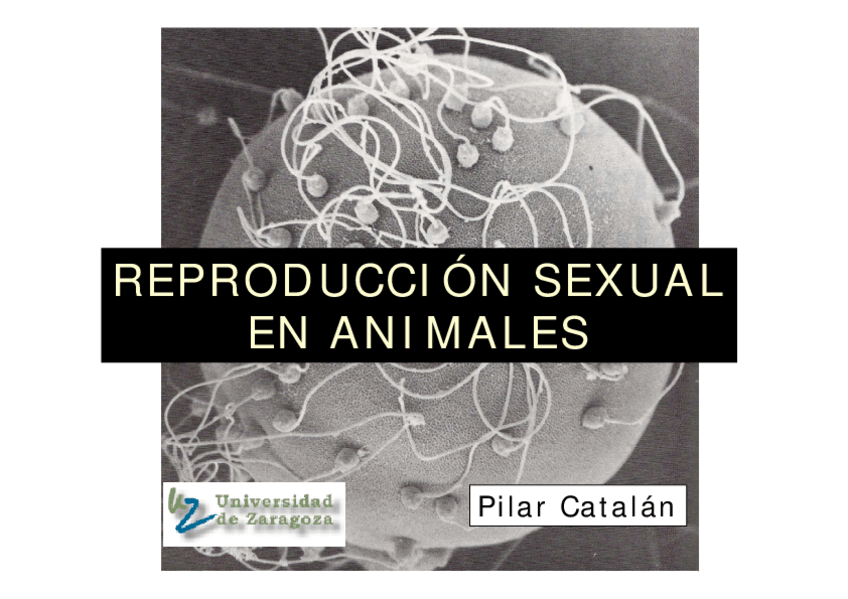 Miniatura del documento Tema-7.pdf