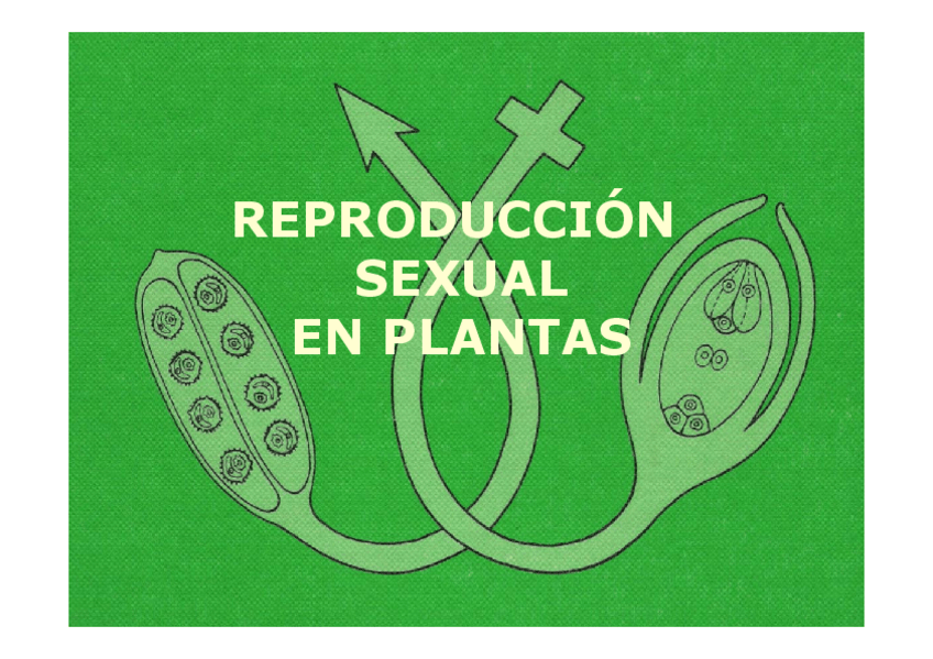 Miniatura del documento Tema8.pdf