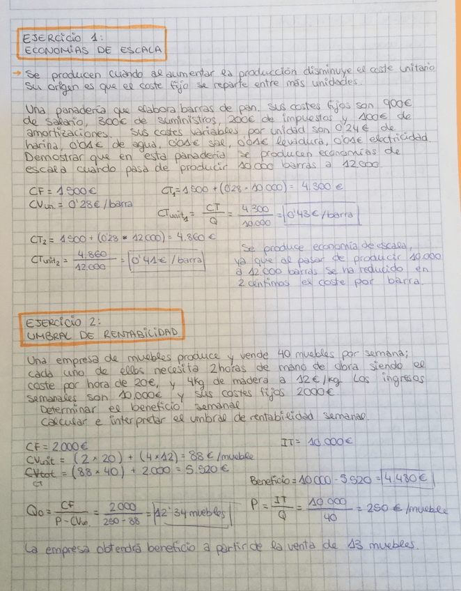 Miniatura del documento IMG_0990.JPG