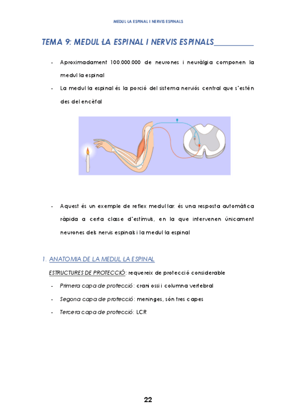 Miniatura del documento TEMA-9.pdf