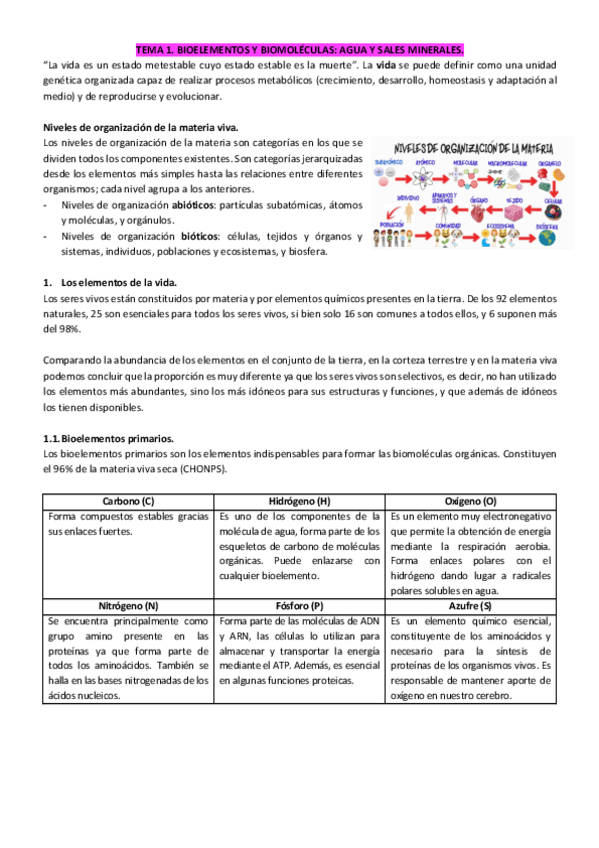 Miniatura del documento 1.pdf