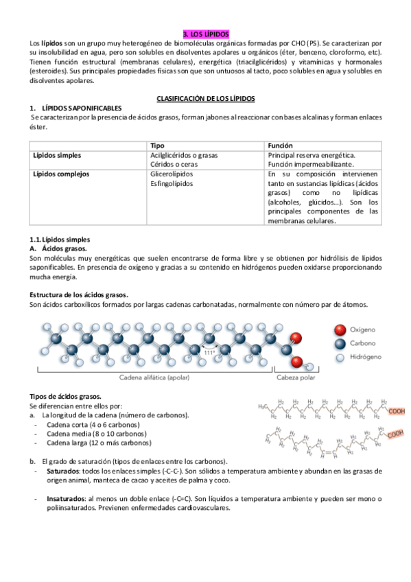 Miniatura del documento 3.pdf