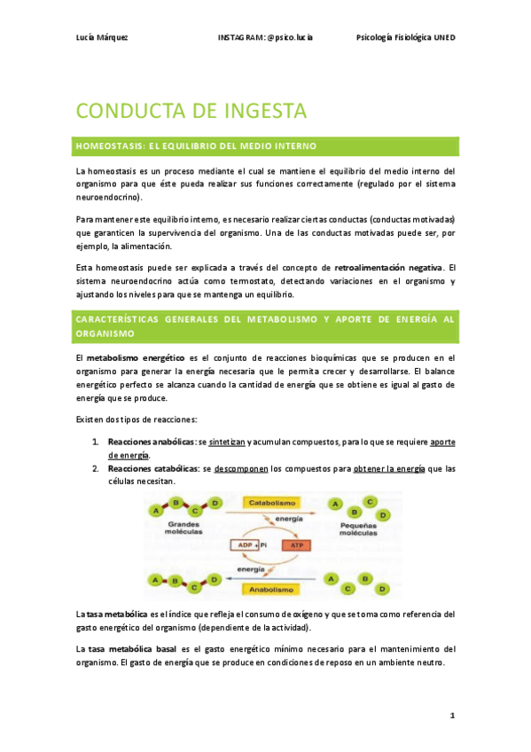 Miniatura del documento tema-4-conducta-de-ingesta.pdf