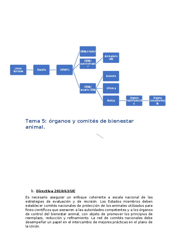 Miniatura del documento Tema-5.docx