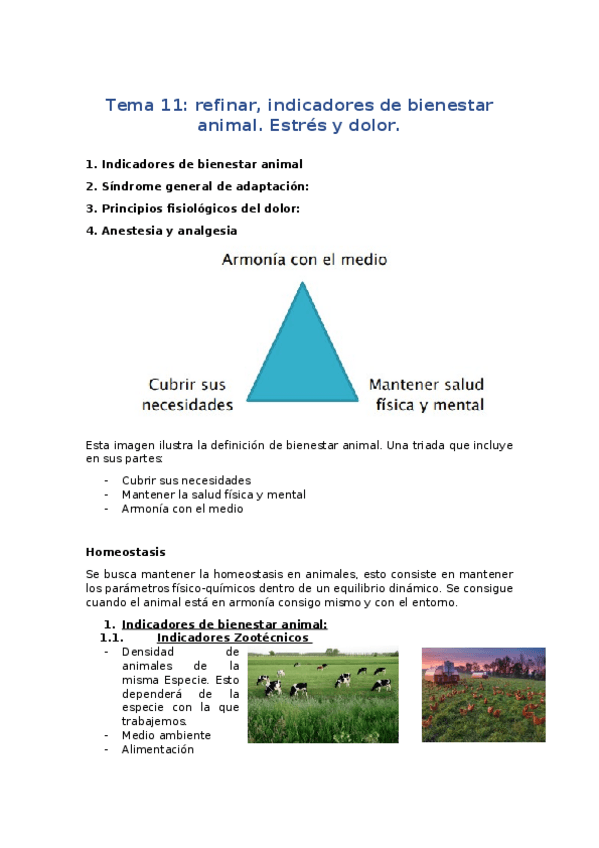 Miniatura del documento Tema-11.docx