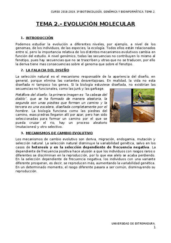 Miniatura del documento TEMA-2.docx