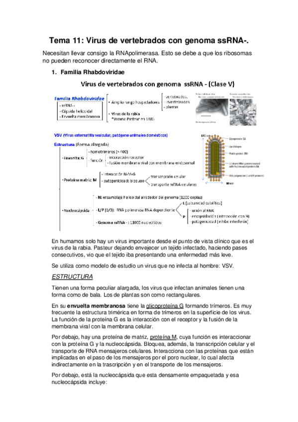 Miniatura del documento TEMA-10.pdf