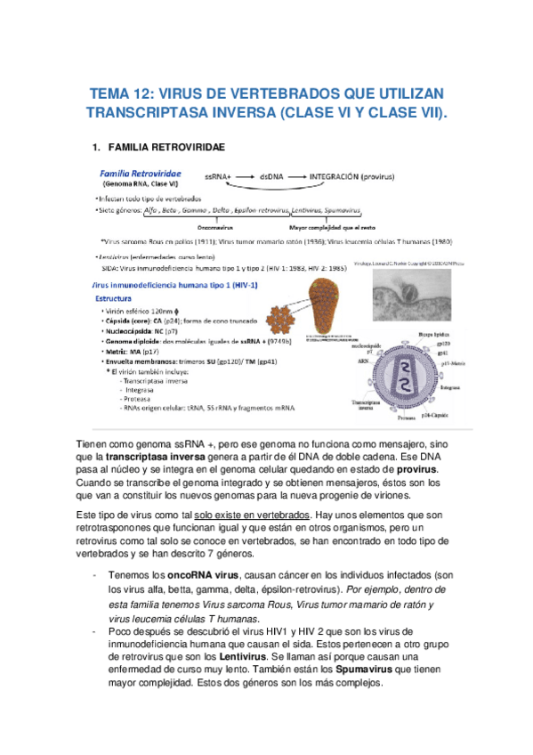 Miniatura del documento TEMA-12.docx