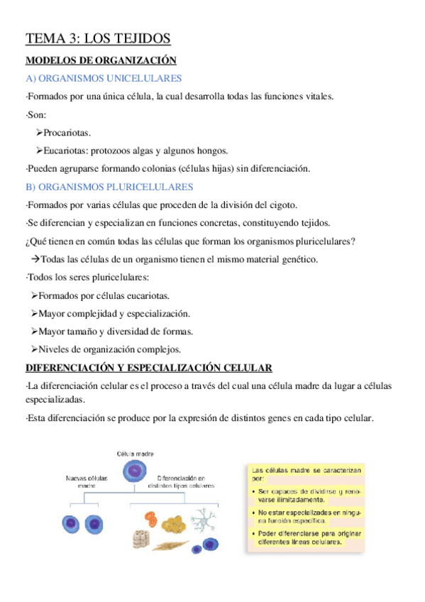 Miniatura del documento inbound8684009136494263205.docx