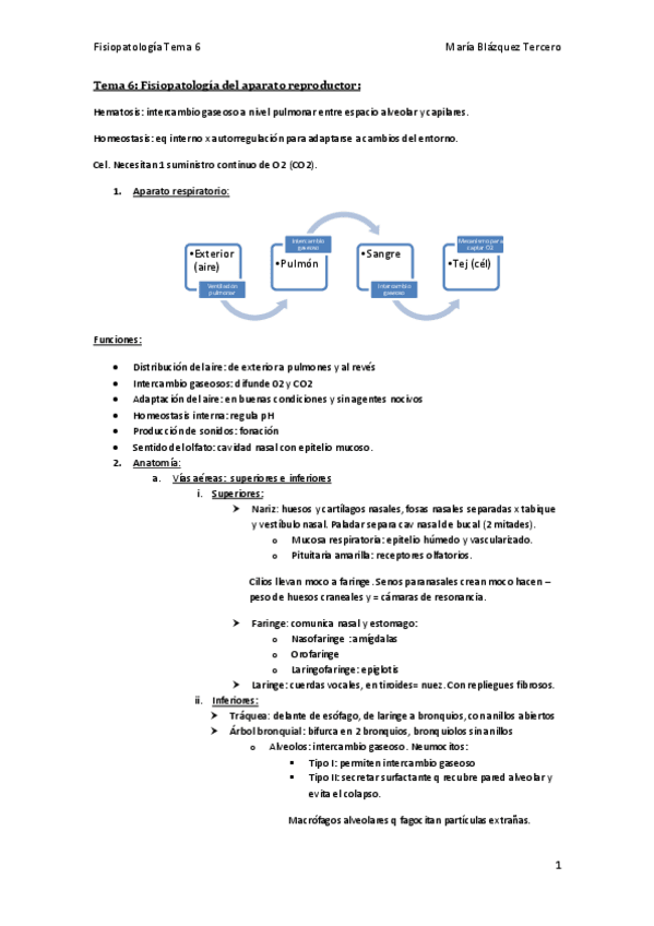 Miniatura del documento Tema-6-1.pdf