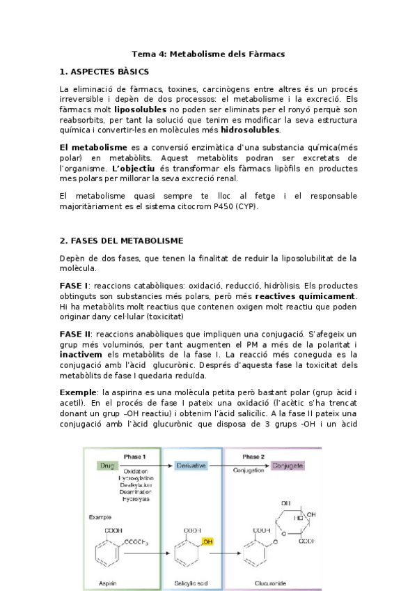 Miniatura del documento Tema-4-Metabolisme-dels-Farmacs.docx