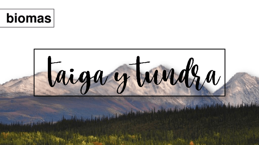 Miniatura del documento TAIGA-Y-TUNDRA-EDITADO.pdf