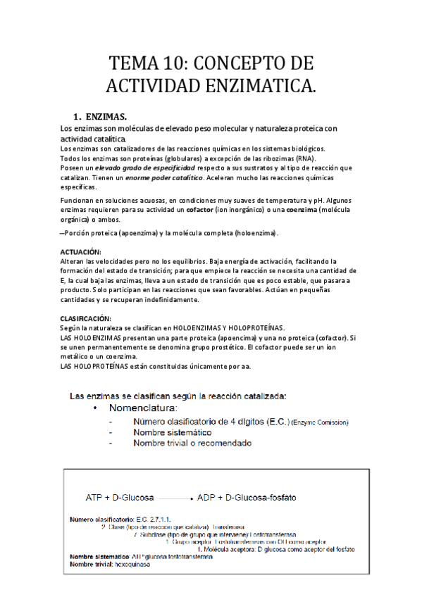 Miniatura del documento -TEMA-10-CONCEPTO-DE-ACTIVIDAD-ENZIMATICA.pdf