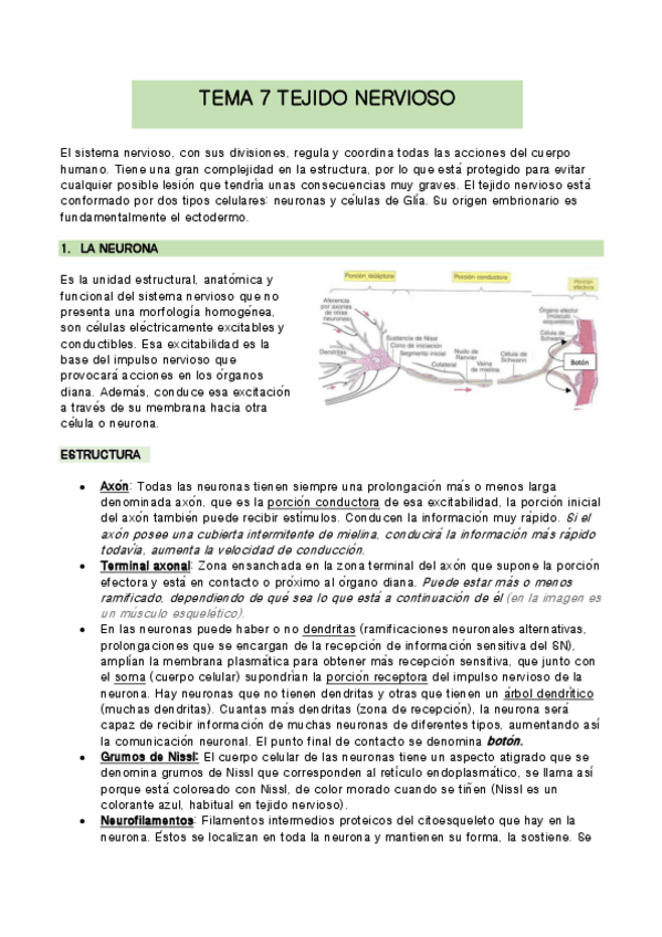Miniatura del documento TEMA-7-biologia.pdf