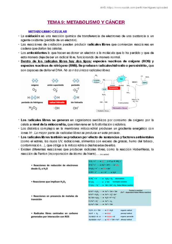 Miniatura del documento T9.pdf