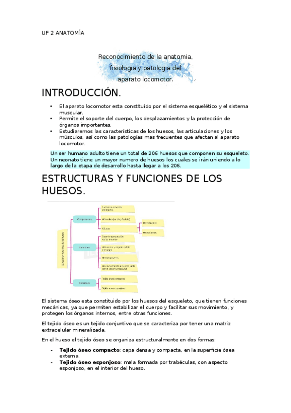 Miniatura del documento anatomia-tema-1-uf-2-imprimido.docx