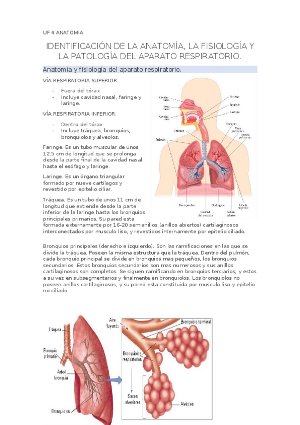 Miniatura del documento UF4-VT-10-Y-11.docx