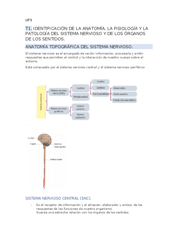 Miniatura del documento VT-7-uf3-imprimido.docx