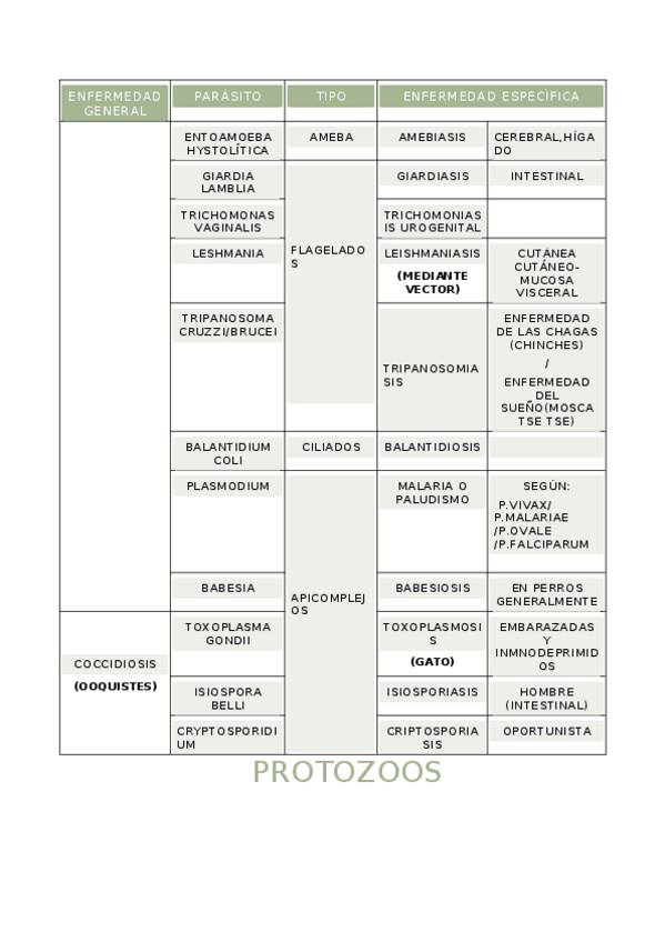 Miniatura del documento enfermedades-parasitarias.docx