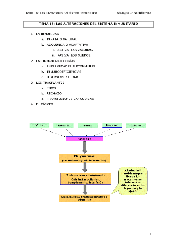 Miniatura del documento TEMA-18.pdf