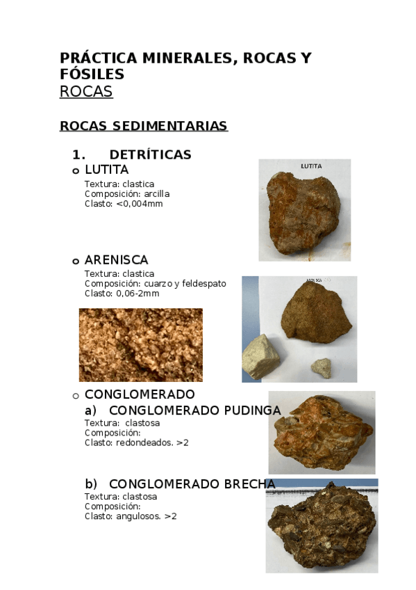 Miniatura del documento PRACTICA-ROCAS.docx