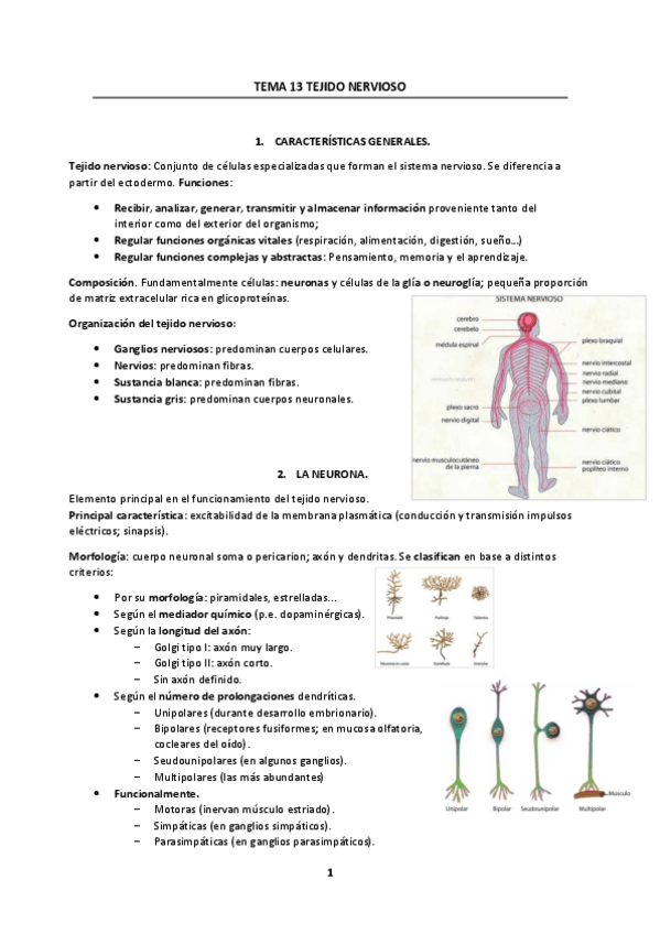 Miniatura del documento Tema-13.pdf
