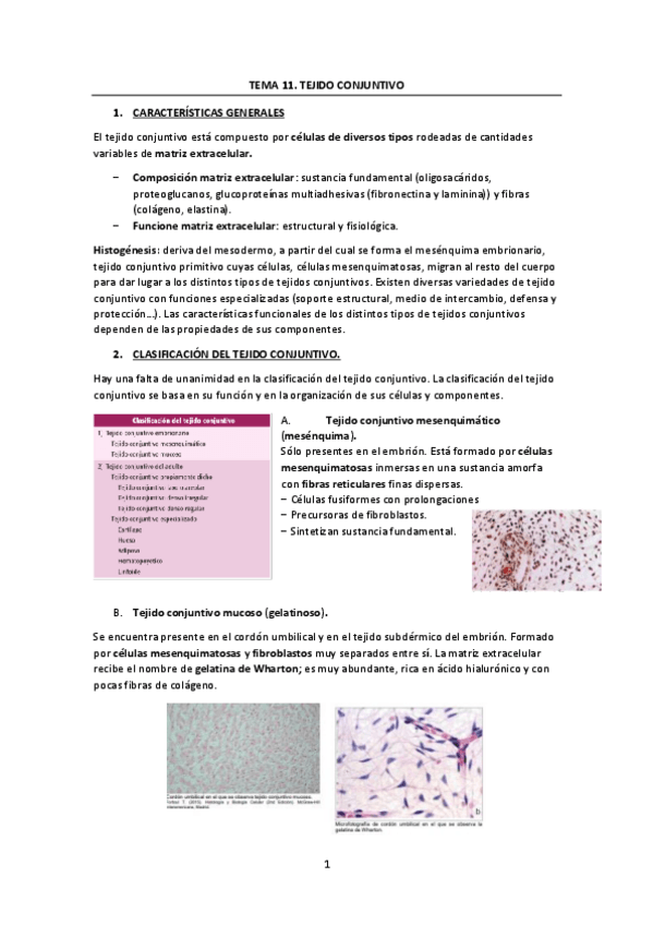 Miniatura del documento Tema-11.pdf