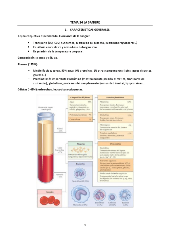 Miniatura del documento Tema-14.pdf