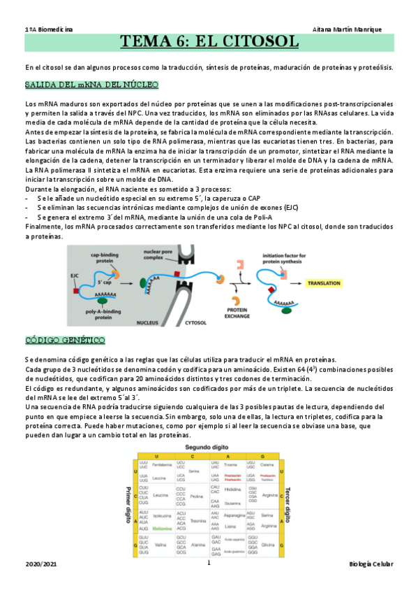 Miniatura del documento TEMA-6.pdf