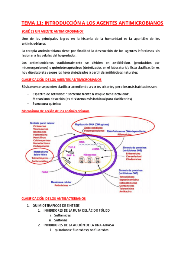Miniatura del documento TEMA-11-y-12.pdf