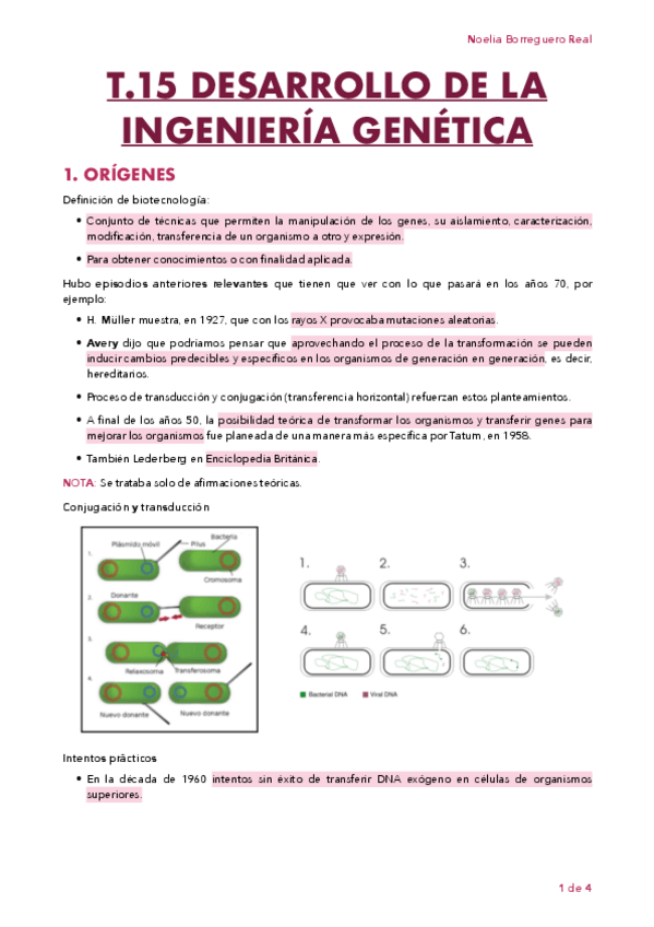 Miniatura del documento TEMA-15.pdf