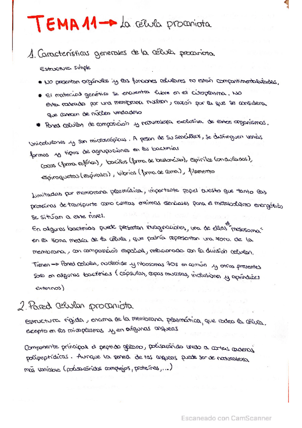 Miniatura del documento Tema-11-Celula-Procariota-incompleto.pdf