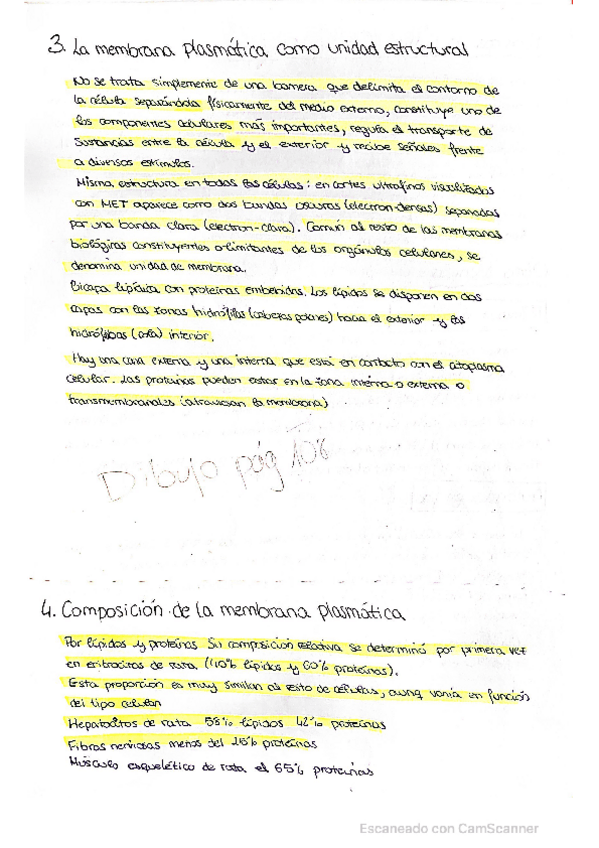 Miniatura del documento Tema-6-PARTE-2.pdf