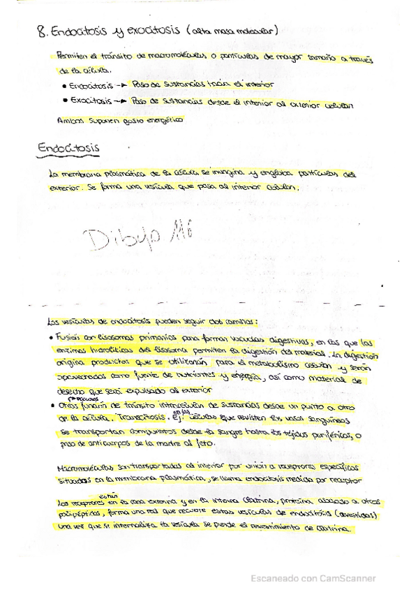 Miniatura del documento Tema-6-PARTE-3.pdf