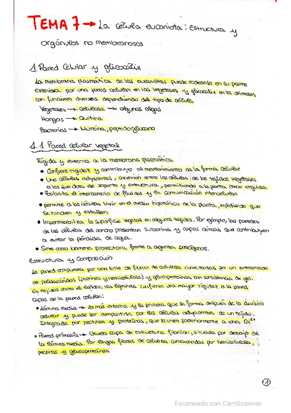 Miniatura del documento Tema-7-Celula-Eucariota-PARTE-1.pdf