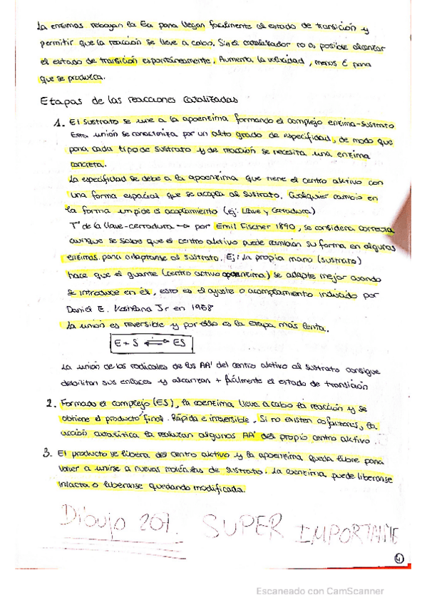 Miniatura del documento Tema-12-PARTE-2.pdf